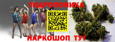 мдпв Дубна