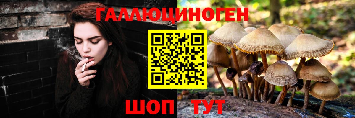 Галлюциногенные грибы Cubensis Люберцы